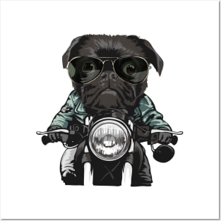 biker pug dog Posters and Art